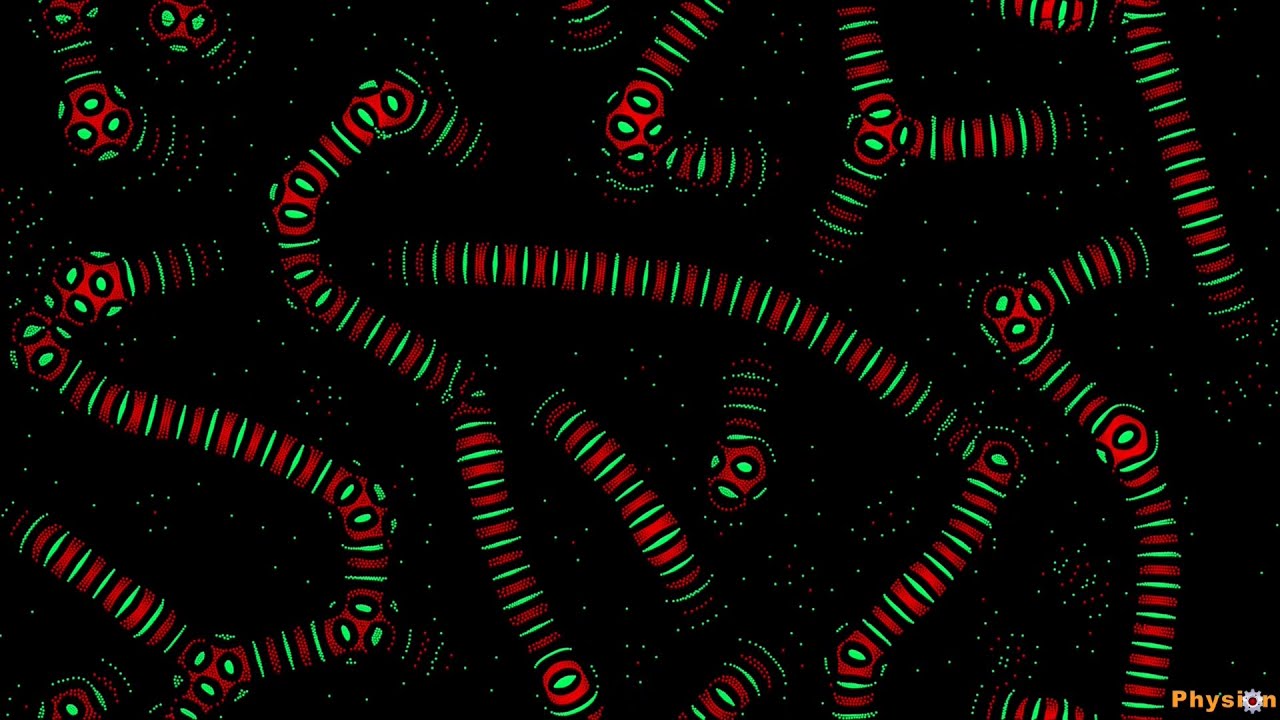 Particle Life in Physion – Create Beautiful Artificial Life Simulations ...
