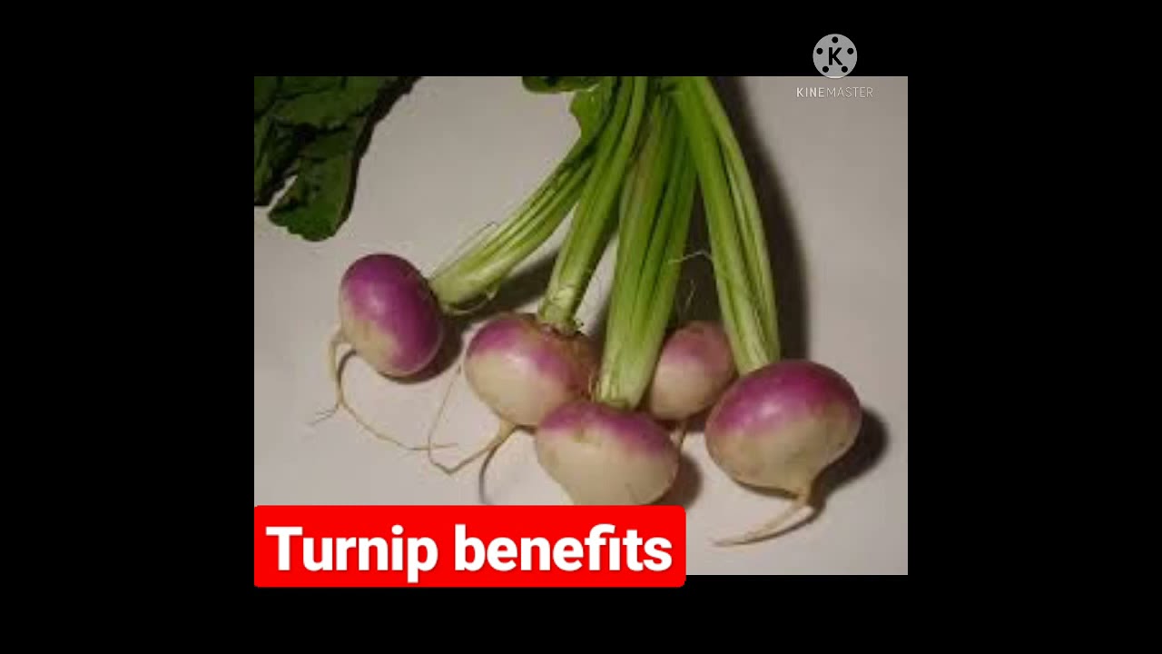 Turnip benefits in Urdushorts youtubeshorts viral YouTube