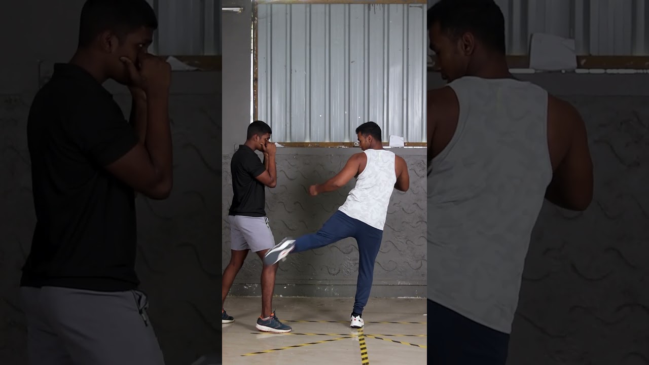 Best kick to use to attack street fighter for self-defense