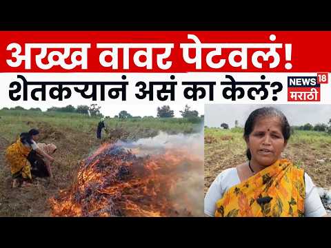 Nanded Farmer News | करपलेलं अडीच एकर सोयाबीन पेटवून दिलं, शेतकरी दांपत्याच्या डोळ्यात अश्रू | N18V