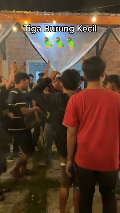 Tiga Burung Kecil ๐ฅโค๏ธ๐๐๐ฅ #lapieztlegiet #music #reggae #reggaemusic #beat #livemusic