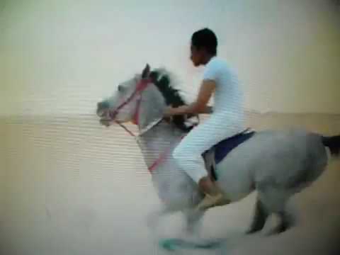 ნინო კემულარიას პოეზია ლექსი თუ არ მომისწარ