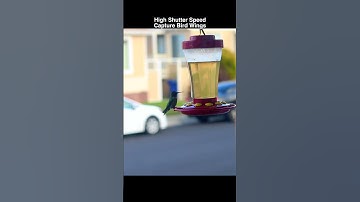 📸 Photography Basics. ISO. Shutter Speed. Aperture. One Minute Photography Class