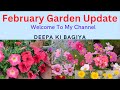 February Garden Update  #myterracegarden #February month garden update #beautifulgardens  #plantlove