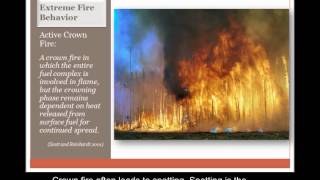 Lesson 4: Fire Behavior