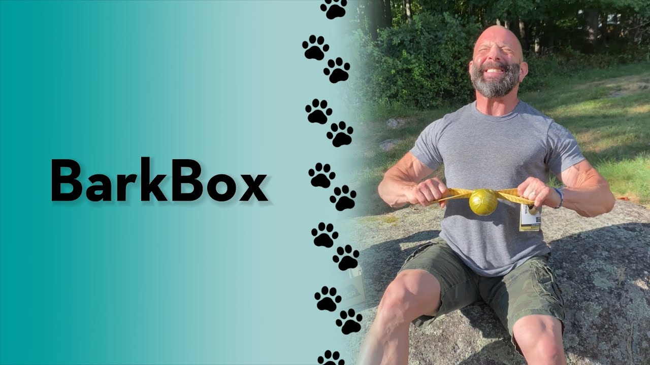 Sign up now for BarkBox or Super Chewer & receive a FREE toy each month! Link in bio #ad