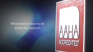We’re proudly AAHA Accredited
