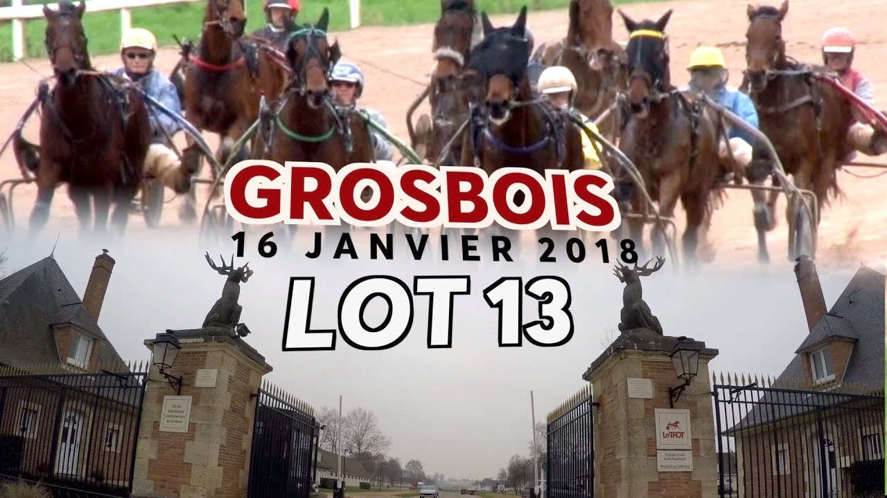 Qualifications LOT 13 Grosbois 16 01 2018 qualifications tradução