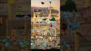 Naat shreef khobsurt naat ja to wakya ishq Bazar v ni Awais Raza