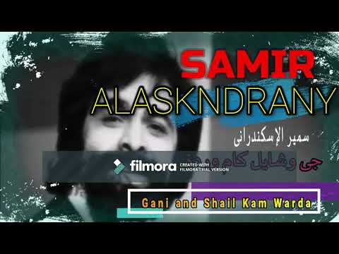   جى وشايل كام وردة