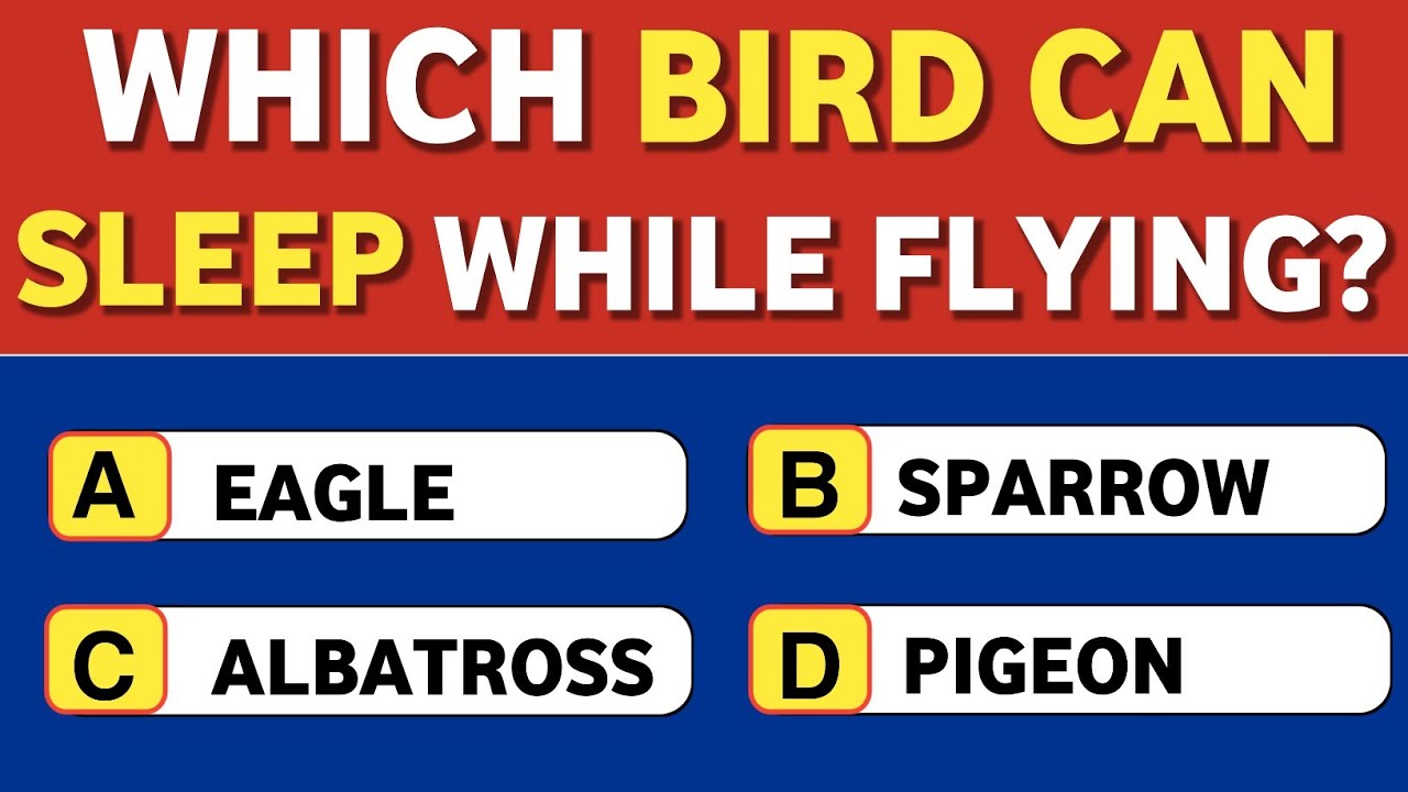 World Geography Trivia That Will Blow Your Mind! 🌎