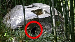 Mysterious Structures Found Around The World
Massive monuments and mysterious structure found all around the world who made them and why?
6-Dolmens of North Caucasus, Russia
The small stone houses known as dolmens are made of large flat stones are can be located across the mountains of this region of Russia. Each stone weighs several tons and each fits so precisely that even a knife blade will not fit between them. The structures are believed to be over 5,000 years old and similar structures can be found in other regions of the world.
5- Bolshoi Zayatsky Island’s stone labyrinths, Russia
The Solovetsky Islands in Russia hold several ancient spiral-shaped stone labyrinths known locally as ‘Babylons.’ The entry and exit points are the same so if you follow the same path of stone boulders you will eventually come back to your start point. There are differing theories as to what they were used for, one is that they were fishing traps, while another believes they had a spiritual use.
4- Stone Spheres of Costa Rica
The origins of these prehistoric stone spheres are unknown and when first discovered workers wanted to break them open hoping they would find gold or some treasure inside. They can now be found in city squares across the Central American country as tourist attractions. It has been so far impossible to date these stone spheres.
3- Nartiang Monoliths in Meghalaya
The Nartiang Monoliths in Meghalaya are locally believed to be the world’s tallest monoliths. Situated in India’s Jaintia Hills the monoliths in Jowai were erected to honor the reign of Jaintia kings. The tallest monolith in the cluster Moo long Syiem is 8m in length. The monoliths were all erected during the period from 1500AD to 1835AD.
2 Avebury Stone Circles
A stone circle is a circle of standing stones which are commonly found across Northern Europe and specially Great Britain and Ireland. They usually date from the Late Neolithic or Early Bronze Ages.
There are three stone circles at Avebury in Wiltshire, England and is one of the best known prehistoric sites in Britain. It contains the world’s largest megalithic stone circle. It remains a popular tourist attraction as well as having religious importance to pagans. The monument comprises of a large henge (a ditch and a bank), a large outer circle and two separate smaller inner circles.
1 Asuka Nara and the Rock Ship of Masuda
The village of Asuka in the Nara Prefecture in Japan is an area with an ancient history dating back to at least 250-552AD. It is mostly known for a particular type of burial mound of shaped earthen mounds that are surrounded by moats. Another feature of the area are the large sized granite stones that have been carved into peculiar shapes across the region. The largest of these carved stones is Masuda-no-iwafune (the rock ship of Masuda).
The stone, which is located close to the top of a hill in Asuka, is 11m in length, 8m wide and 4.7m high. It is believed to weigh 800 tons. The top is completely flat with two 1m square holes carved into it.
The main questions to ask are who made it, when and why?
These questions have no definite answer although there are some possible explanations. In the region surrounding the rock ship of Masuda there are lots of Buddhist temples and shrines so there are suggestions it could have been made by Buddhists for a ceremonial or religious purpose. One counter-argument to this theory is it does not remotely resemble any other Buddhist construction or monument.
Another theory is that it was used as an ancient astronomical observation point. This theory has been dismissed by scholars as it is not recognized as such a structure. Another unproven theory is that it was a tomb designed for the royal family. This theory does not explain the unusual features or that there is no evidence of a burial. Others have suggested it was to be the entrance to an unfinished tomb. The stone here does have similarities to another stone in Takasago city. That stone, the Ishi-no-Hoden measures 6.45m x 5.7m x 5.45m. That stone is a shrine dedicated to Oshiko Jinja, a Shinto god. The mystery surrounding both of these stones, their true origin and purpose will probably remain lost in the pages of history. Mysterious Structures Found Around The World
