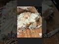 こんにゃくとキノコのスパイシー佃煮 #こんにゃく#ダイエットレシピ #おうちごはん