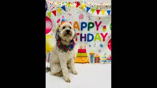 June Recap at Petsburgh Pet Care Part 1!