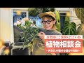 花森さん 植え替えしながら植物相談会🥦