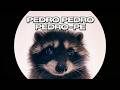 Finalla canción de pedro || PEDRO - Raffaella Carrà, Jaxomy, Agatino Romero (Remix) #PEDRO #remix