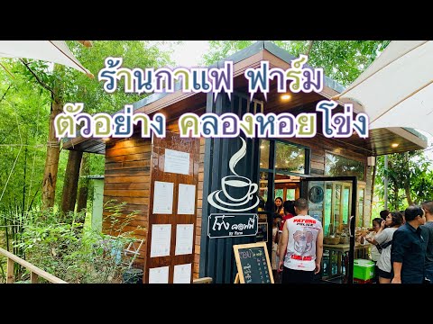 ร้านกาแฟโข่งคอฟฟี่ ฟาร์มตัวอย่างพระราชดำริ คลองหอยโข่ง สงขลา HD