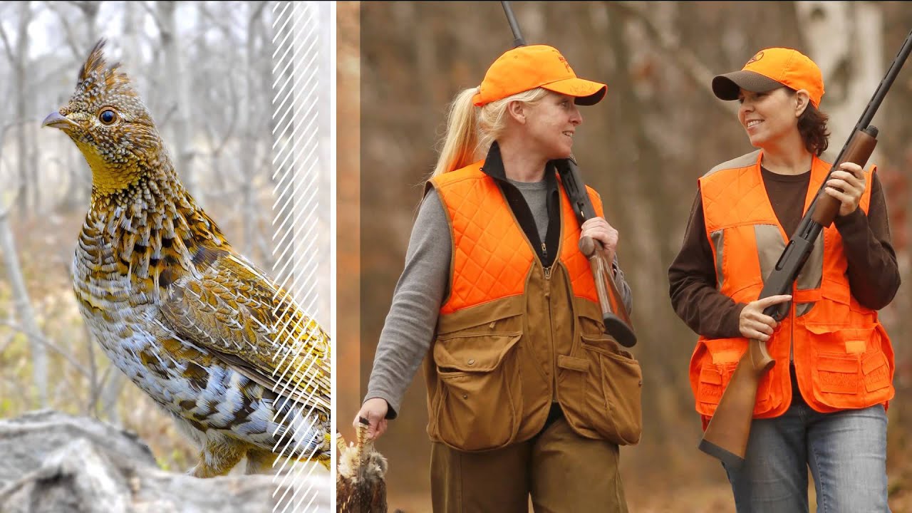 Hunt and Fish Minnesota