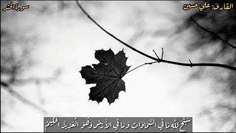 تلاوه سورة الحشر |كامله| القارئ علي حسين #قرآن_كريم