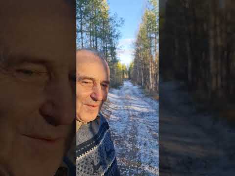 31 октября 2024
