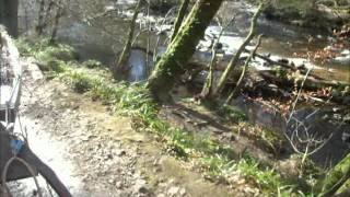 Fingle1