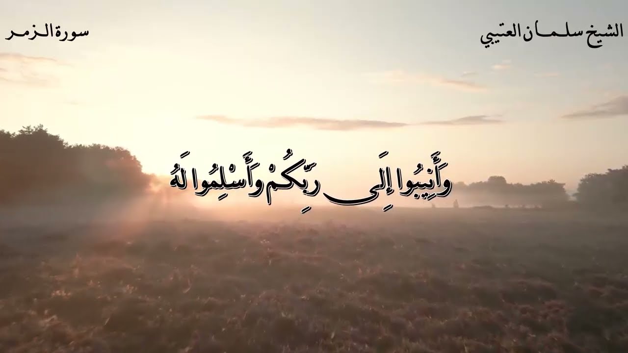 تلاوات / القارئ الشيخ / سلمان العتيبي