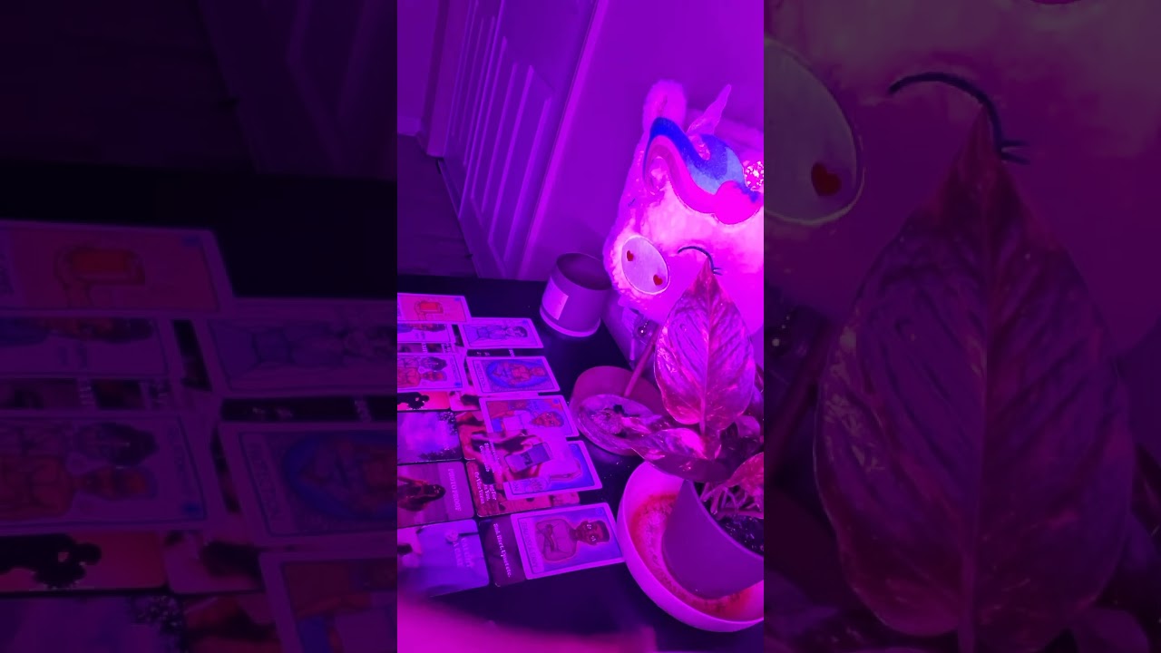 He's turning down seggs because a high priestess exposed to this man that the karmic fem is sick