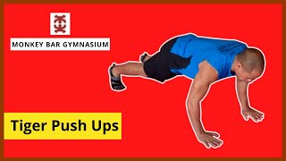 Monkey Bar Gym Tiger Push Ups