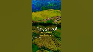 قرأن كريم تلاوة خاشعة راحة نفسية #تلاوة #اكسبلور #aslam #duet #المصحف #trend #قران_كريم #لايك