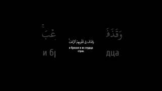 Чтец: «Мухаммад аль-Люхайдан» Сура: «Аль-Хашр» Аяты: «1-4»