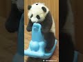 Rocking Horse License: ACHIEVED | iPanda #shorts