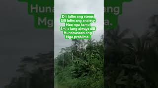 stress jud d. i #beautifulview #relaxingview #beatifulnature