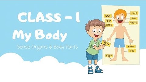 MY BODY EVS NCERT CLASS-1