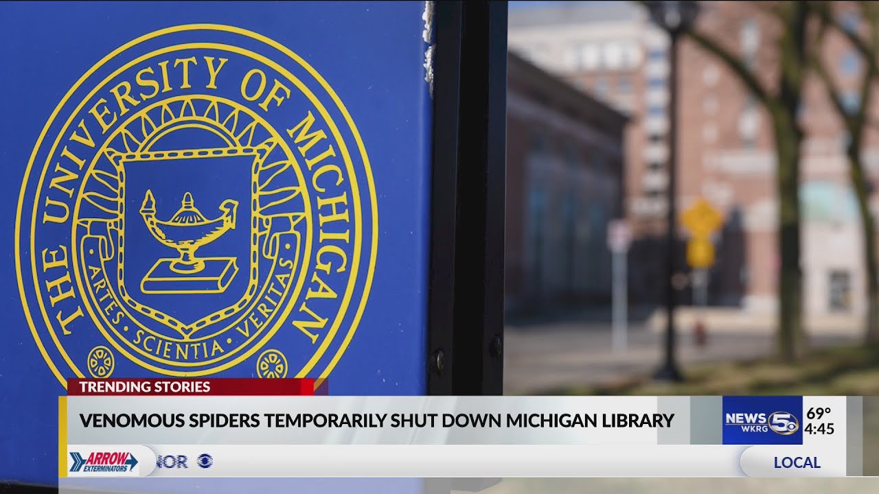 Venomous spiders temporarily shut down Michigan library