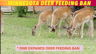 DNR Expands Minnesota Deer Feeding Ban