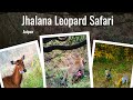 Leopard with Kill Sighting at Jhalana Leopard Safari | Jaipur Wildlife