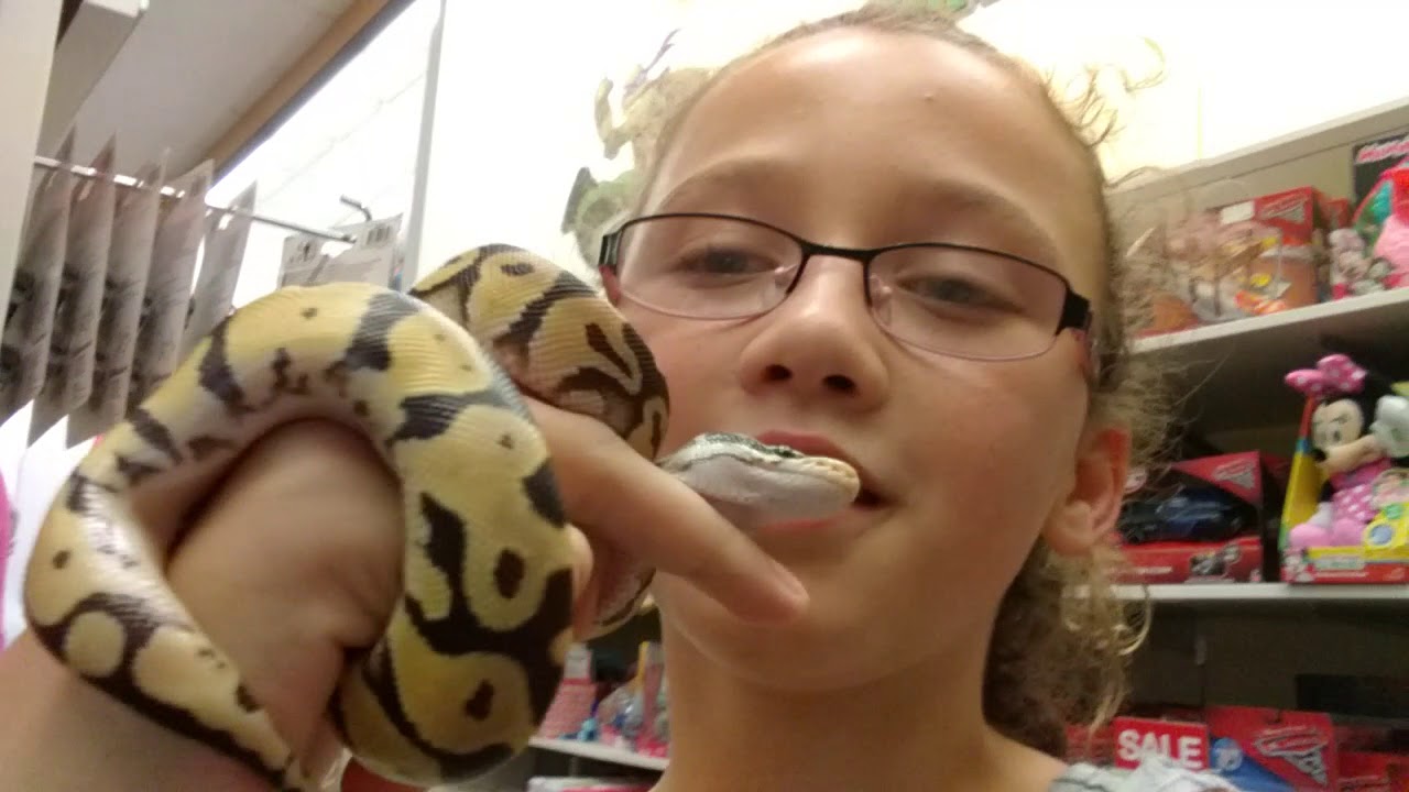 camera iphone 8 plus apk Jazmine /New pastel ball python