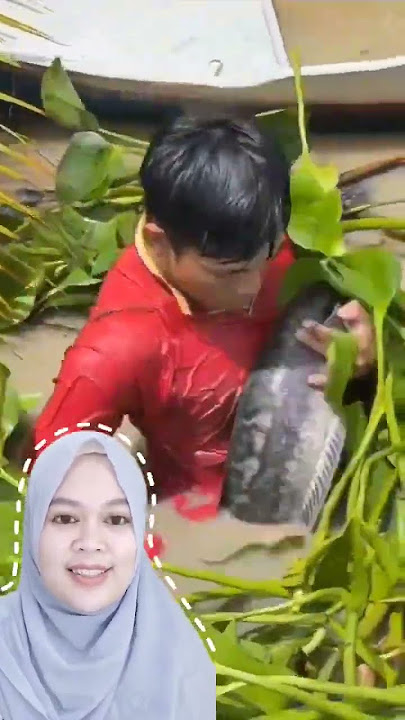tangkap ikan besar di empang #trendingshorts