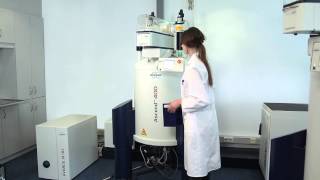NMR based fully automated FoodScreener (Food Analysis)