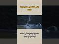 تاريخ نهري دجلة والفرات    