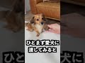正しく使うと気分が悪くなる顔の使い方が読めなすぎた！
