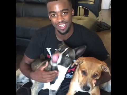 sad dog commercials in the hood youtube