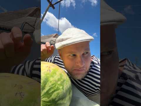 Как Батя АРБУЗ выбирал (смешное видео, приколы, юмор, поржать, вайны)