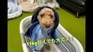 コンパクトになるバスタブ