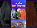 চিয়া সিড কী? What is chia seeds I sasthosebok