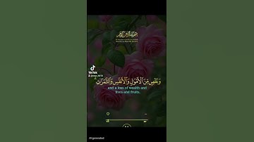 قران كريم #الرحمن #اكسبلور #القزابري #quran #دويتو #duet #تيك_توك #المصحف #لايك #حالات_واتس