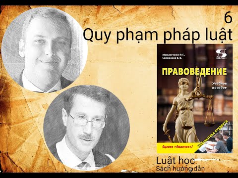 Video Quy phạm pháp luật - youtube