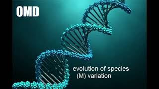 OMD -  evolution of species (M) variation