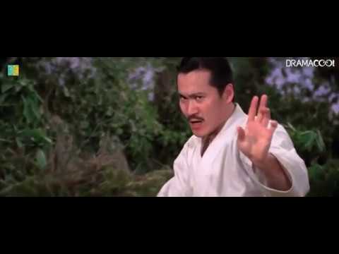 Video: Forskellen Mellem Kung Fu Og Karate