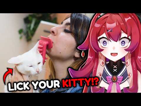 KICKSTARTERS WORST PRODUCTS WERE WILD...